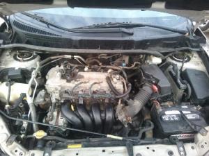 Distribuidores Originales para Pontiac Vibe