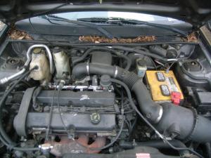 Venta de Sensores Originales para Ford Escort 
