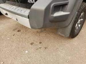 Defensas para Nissan Xterra