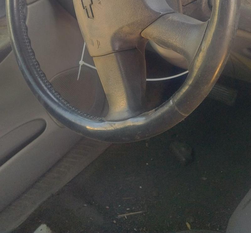 Sensores Originales para Ford Probe yonkes en mexico