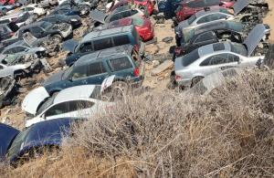 Distribuidores en venta para Mazda Protege