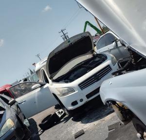Venta de Aros Dentados para Ford Contour