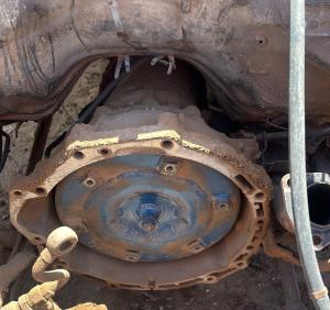 Bobinas en Venta para Ford Freestyle
