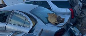 Amortiguadores para Mazda en Venta.