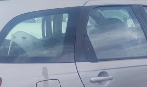 Bobinas de Encendido para Subaru Forester.