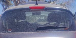 En Venta Cremalleras de Direccion para Pontiac Sunbird