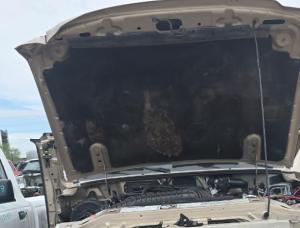 Venta de Transfers usados de Hyundai Santa Fe