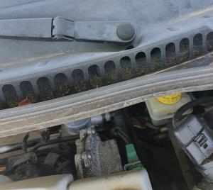 Baleros homocineticos seminuevos para Honda Element