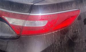 Venta de Sensores Originales de Dodge Caliber