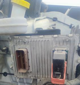 Venta de Inyectores para Ford Focus