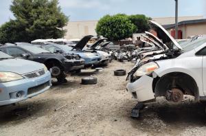 Computadoras para Volkswagen Cabriolet
