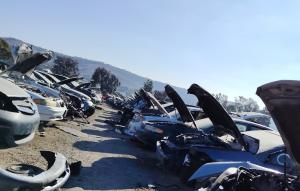 Venta de Medallones Originales de Mercedes Benz S550