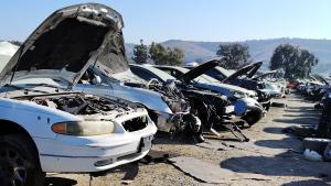 Venta de Medallones Originales de Mercedes Benz S550