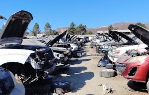 Marcos de Radiadores Originales de Mercedes Benz S350