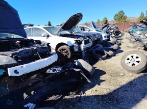 Focos delanteros de Tacoma 2001