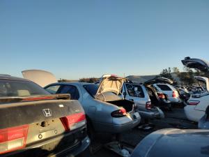 Venta Baleros Homocineticos para Mazda Protege