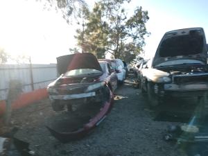 Faros originales para Volkswagen Beetle