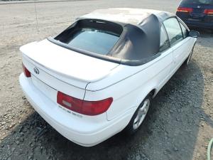 Medallones en Venta para Toyota Paseo